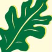 Connor Tree Service Connor